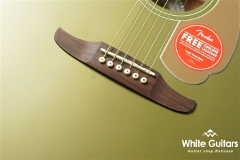 Newporter Player - Olive